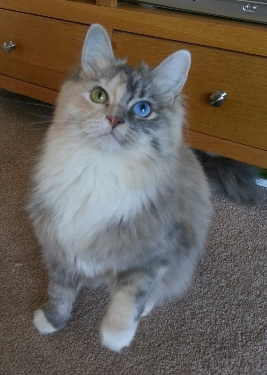 《电竞“潜规则”揭秘：行业内鲜为人知的内幕》，细说电竞