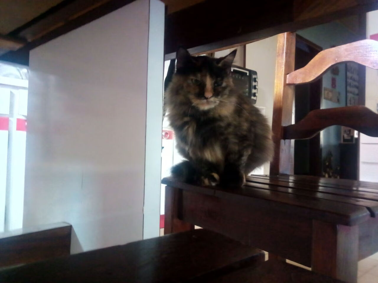 【运动员心理调节】赛前放松的秘密法宝，运动员赛前心理状态四种表现形式是