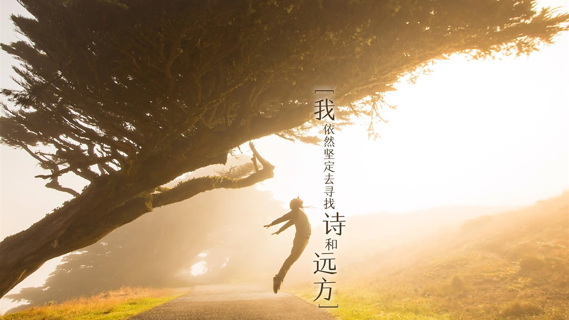 开云网站-今年联盟“三分命中率”排名都有哪些令人惊喜的队伍？，nba联盟三分命中率第一